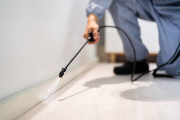 Licensed Mosquito Control service in Lynden, WA - Show Me Pest Control
