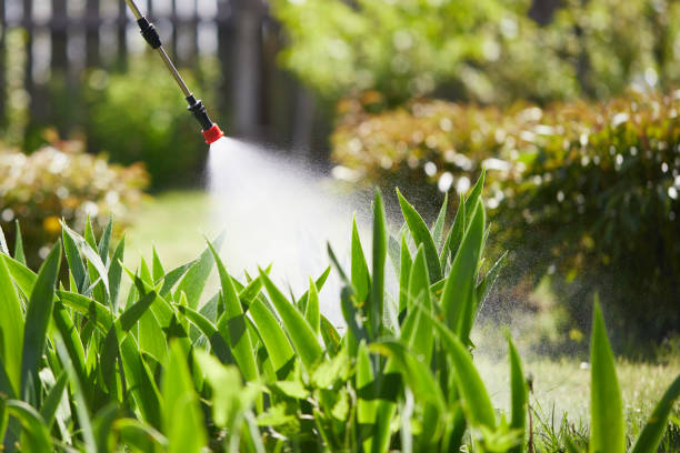 24/7 Emergency Mosquito Control experts in Lynden, WA